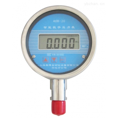 ZX-20數字壓力表(表盤型）